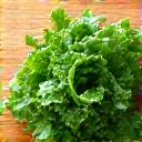 収穫したばかりの新鮮な野菜